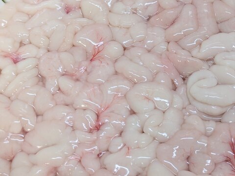 わが家流♪たらの白子の下処理